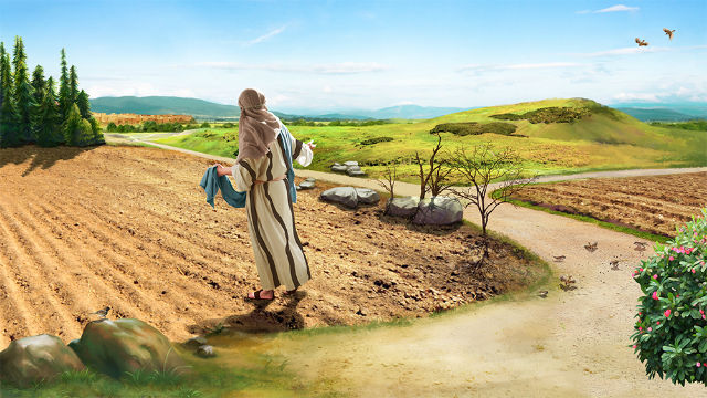 the Parable of the Sower